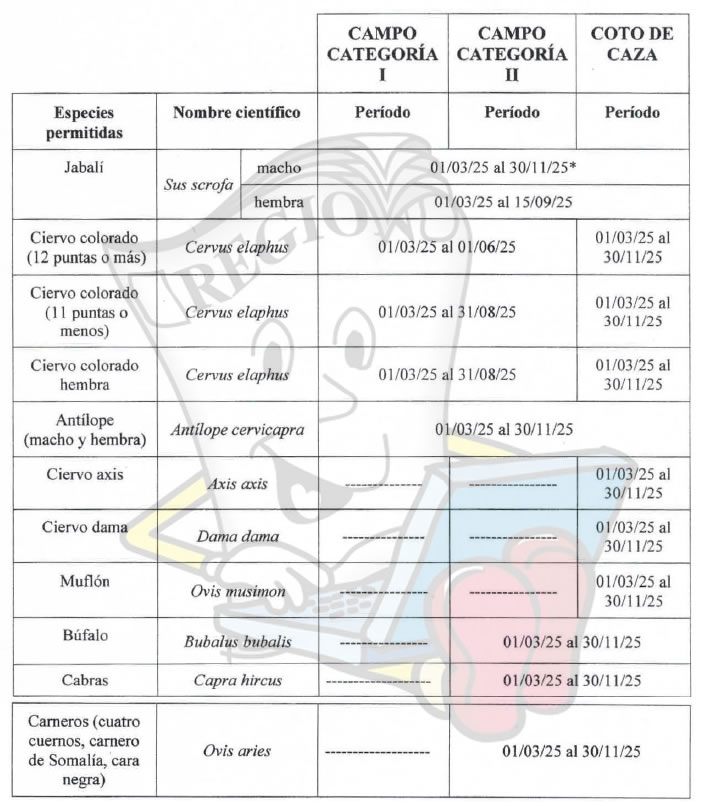 CAZA MAYOR