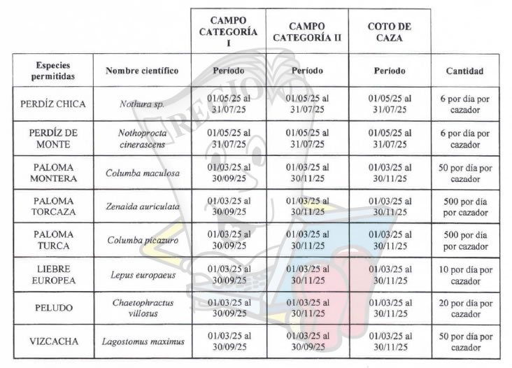 CAZA MENOR